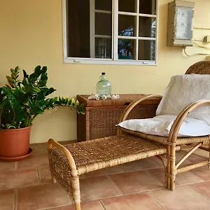 Bubali Gardens , Palm Beach Aruba